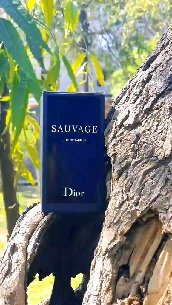 Dior - SAUVAGE IMPRESSION Perfume TheUrbanMart