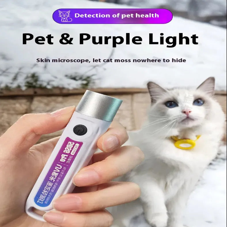 UV Money Checker Light – Portable UV Currency Detector for Fake Note Checking | THE URBAN MART